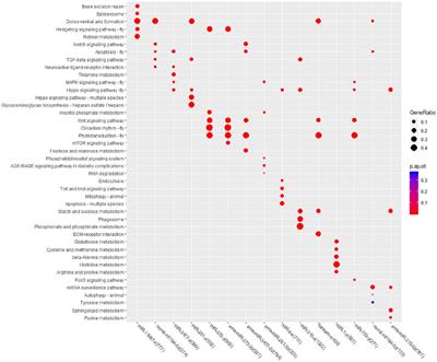 Fluvalinate-Induced Changes in MicroRNA Expression Profile of Apis mellifera ligustica Brain Tissue